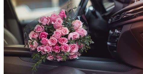 how long can you leave flowers in a car? how might climate change affect the longevity of cut flowers?