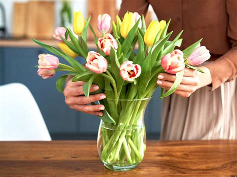 how to store flowers before giving them - A Delicate Balance Between Preservation and Presentation