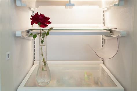 should i put flowers in the fridge