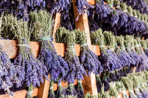 what to do with dried lavender flowers: Exploring the versatility of lavender in crafting beautiful and meaningful gifts.