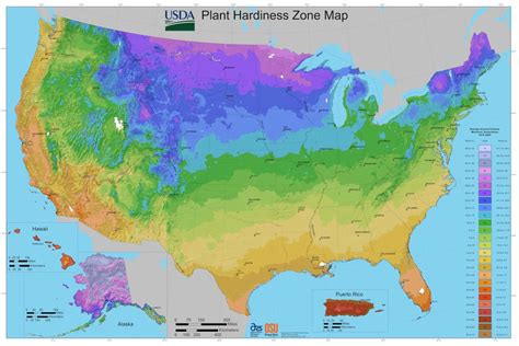 What Zone Is Indiana For Planting Flowers: Exploring Gardening Zones and Beyond in the Hoosier State